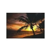 Fellowes Palm Moods Mouse Pad (58750)